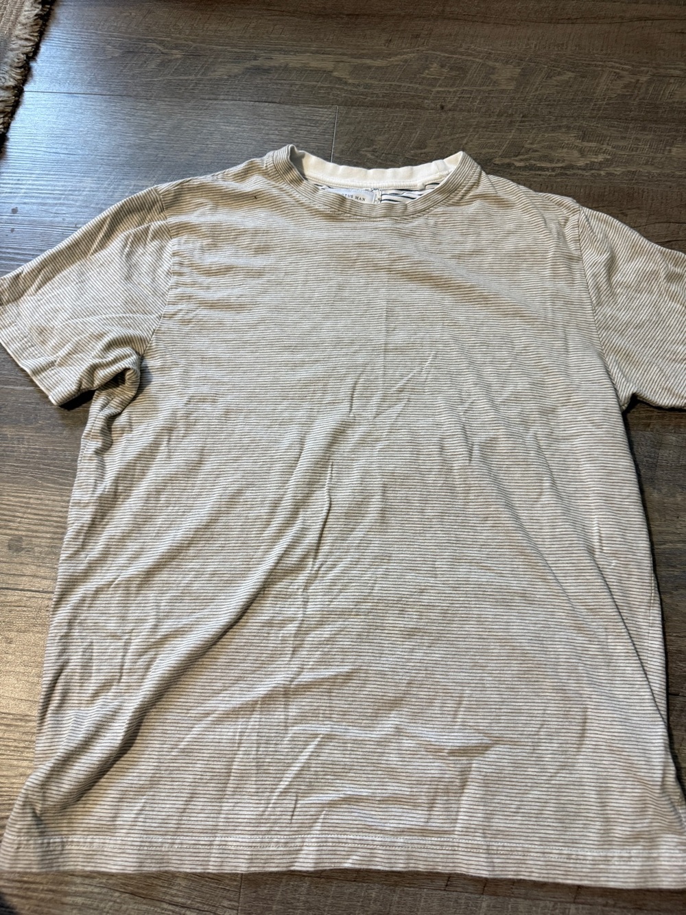 Cactus Men's Subtle Gray Striped Crew Neck Tee